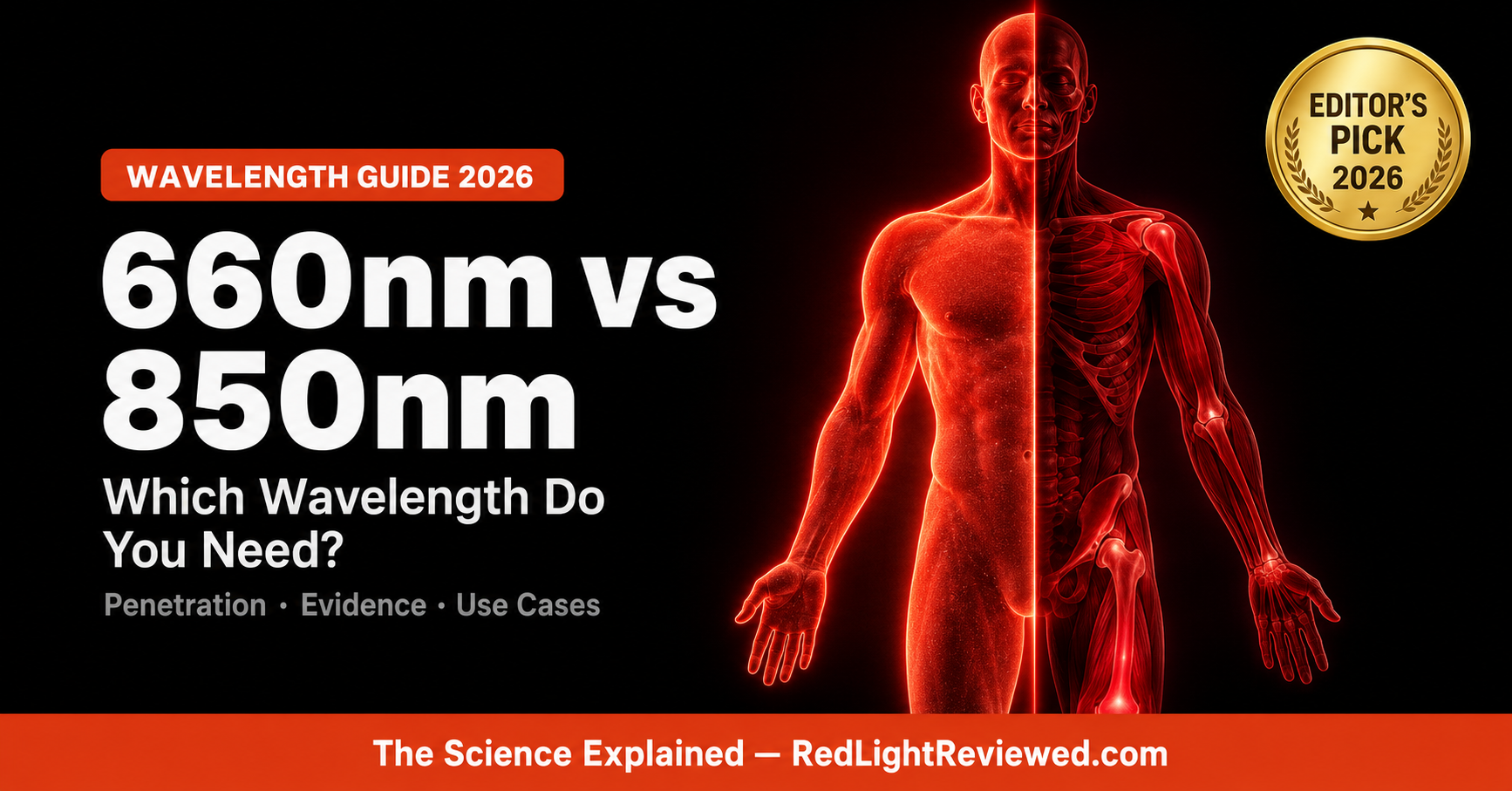 660nm vs 850nm Red Light Therapy: Which Wavelength Do You Actually Need?